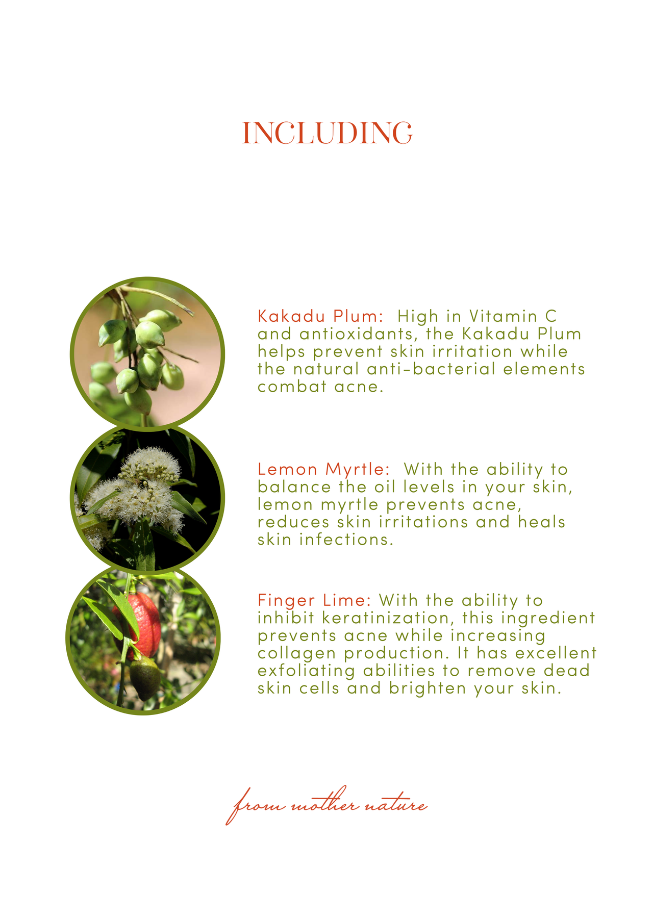 Native Regeneration Cleanser - Hydrating | Antioxidant | Rejuvenating