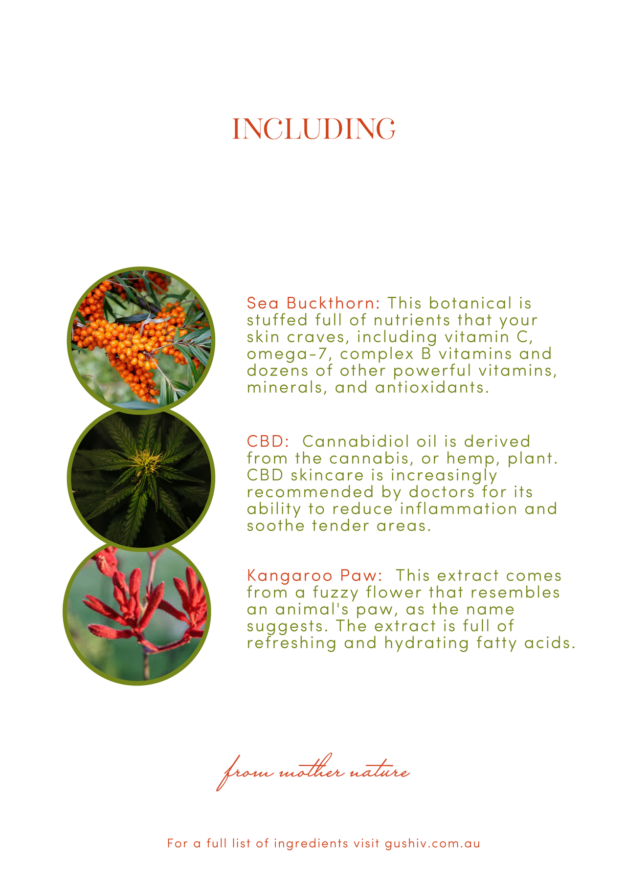 Cannabidiol Elixir Face Cream - Calming | Anti Inflammatory | Healing