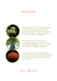 Native Elixir Face Cream - Hydrating | Luminous | Repairing
